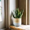 Bamboo Grey Planter