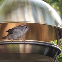 Brushed Brass Hanging Bird Feeding Dome -Garden & Outdoors pr2000040684 card5 lg