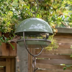 Hanging Bird Feeding Dome - Crocus Green -Garden & Outdoors pr2000040693 card3 lg