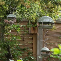 Hanging Bird Feeding Dome - Crocus Green -Garden & Outdoors pr2000040693 card4 lg