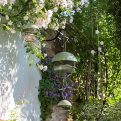 Hanging Bird Feeding Dome - Crocus Green -Garden & Outdoors pr2000040693 card7 lg