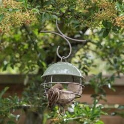 Satellite Fat Ball Feeder - Crocus Green -Garden & Outdoors pr2000040694 card5 lg