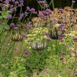 Flower Stake Tealight Holder - Antique Bronze -Garden & Outdoors pr2000040769 card10 lg