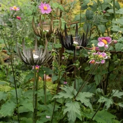 Flower Stake Tealight Holder - Antique Bronze -Garden & Outdoors pr2000040769 card6 lg