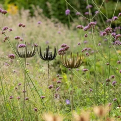 Flower Stake Tealight Holder - Antique Brass -Garden & Outdoors pr2000040770 card6 lg