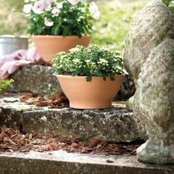 Garden & Outdoors -Garden & Outdoors pr2000040885 card2 lg