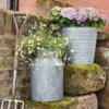Galvanised Milk Churn