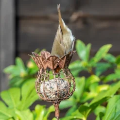 Poppy Seed Head Fat Snax Feeder - Rust -Garden & Outdoors pr2000041714 card3 lg