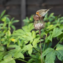 Poppy Seed Head Fat Snax Feeder - Rust -Garden & Outdoors pr2000041714 card4 lg