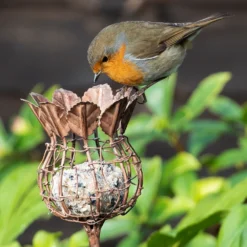 Poppy Seed Head Fat Snax Feeder - Aged Zinc -Garden & Outdoors pr2000041715 card3 lg