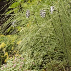 Plant/bulb Marking Stake - Shamrock 8 Plant/bulb Marking Stake - Shamrock -Garden & Outdoors pr2000041716 card4 lg