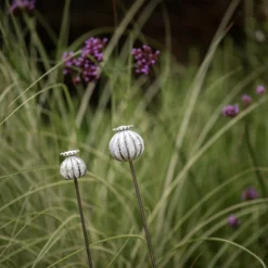 Perennial Plant/bulb Marking Stake Poppy Seed Head 11 Perennial Plant/bulb Marking Stake Poppy Seed Head -Garden & Outdoors pr2000041720 card5 lg
