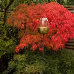 Tulip Stake Tealight Holder (adjustable Height) - Brushed Brass 13 Tulip Stake Tealight Holder (adjustable Height) - Brushed Brass -Garden & Outdoors pr2000041729 card6 lg