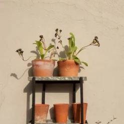 Wall Plant Display 9 Wall Plant Display -Garden & Outdoors pr2000041734 card5 lg