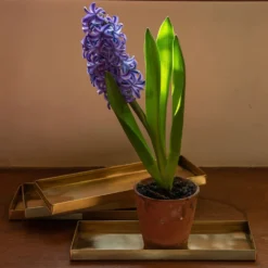 Brass Trays / Shelves - Set Of 4 -Garden & Outdoors pr2000041737 card4 lg