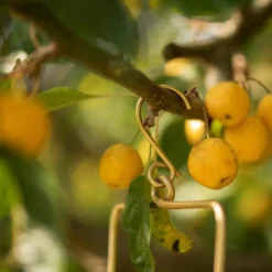 Hanging Tealight Lantern - Brass -Garden & Outdoors pr2000041742 card5 lg