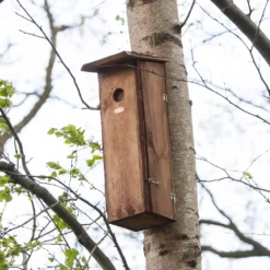 Woodpecker House 6 Woodpecker House -Garden & Outdoors pr2000042955 card3 lg