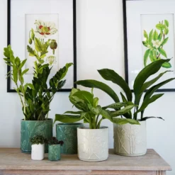 Garden & Outdoors -Garden & Outdoors pr2000043077 card2 lg