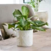 Stoneware Meadow Planter Ivory