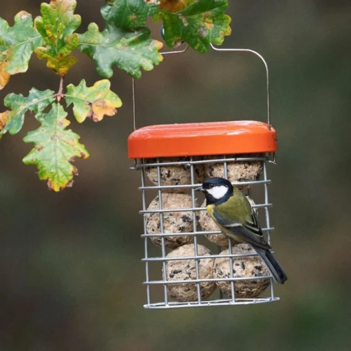 Premium Suet Feeder 8 Premium Suet Feeder -Garden & Outdoors pr2000044042