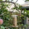 Aura Small Bird Feeder