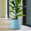 Handthrown Glazed Plant Pot - Light Blue