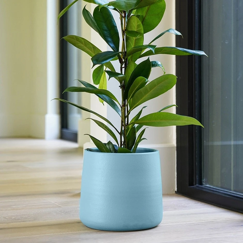 Handthrown Glazed Plant Pot - Light Blue 1 Handthrown Glazed Plant Pot - Light Blue