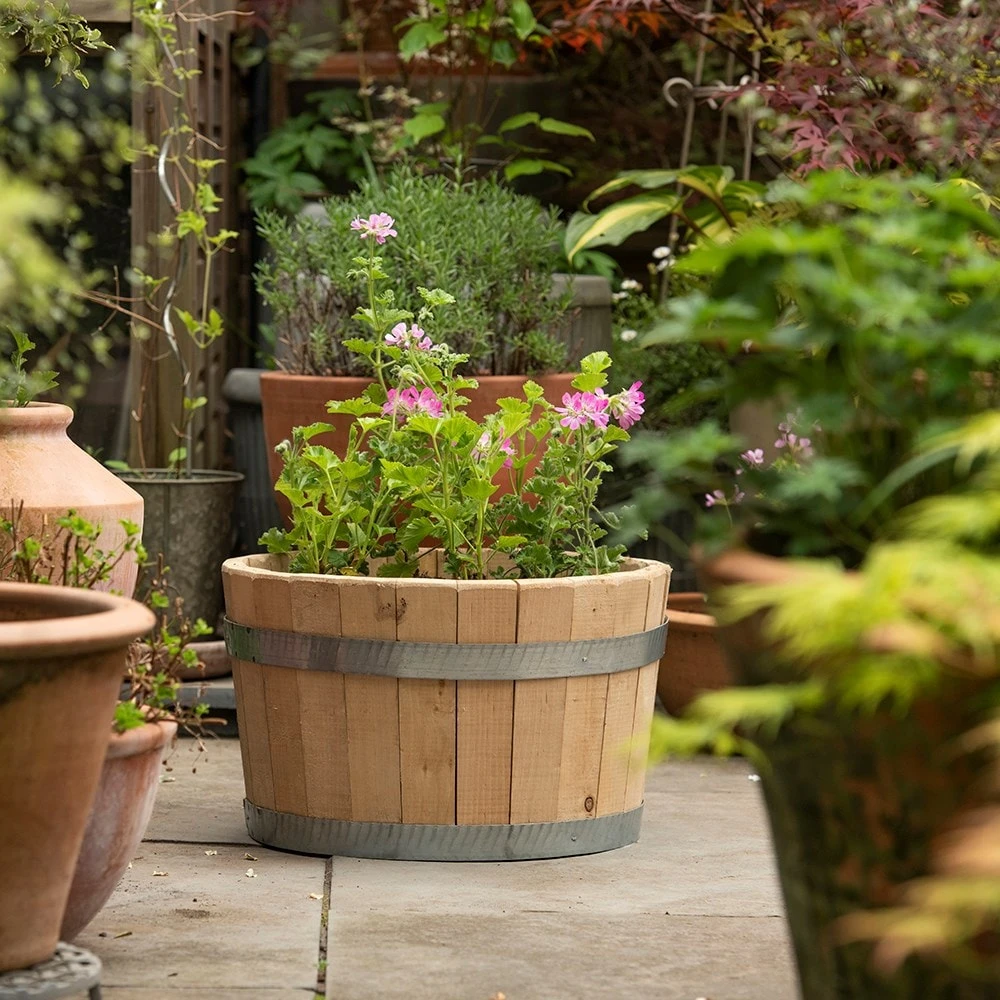 Hardwood Barrel Planter 7 Hardwood Barrel Planter - Image 7