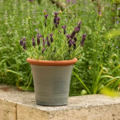 Grey Kitchen Planter -Garden & Outdoors pr2000044988 card4 lg