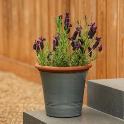 Grey Kitchen Planter -Garden & Outdoors pr2000044988 card7 lg