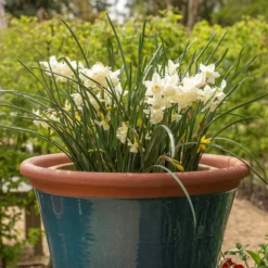 Dark Teal Kitchen Planter -Garden & Outdoors pr2000044992 card3 lg