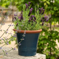 Dark Teal Kitchen Planter -Garden & Outdoors pr2000044992 card6 lg