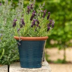 Dark Teal Kitchen Planter -Garden & Outdoors pr2000044992 card7 lg