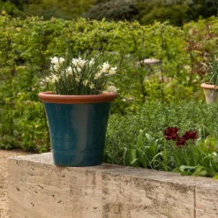 Dark Teal Kitchen Planter -Garden & Outdoors pr2000044992 card8 lg