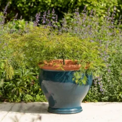 Dark Teal Bellied Planter 9 Dark Teal Bellied Planter -Garden & Outdoors pr2000045004 card5 lg