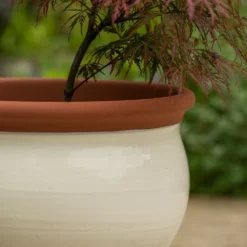 Ivory Bellied Planter -Garden & Outdoors pr2000045026 card3 lg