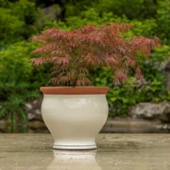 Ivory Bellied Planter -Garden & Outdoors pr2000045026 card5 lg