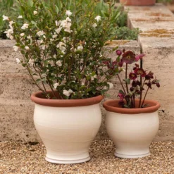Ivory Bellied Planter -Garden & Outdoors pr2000045026 card7 lg