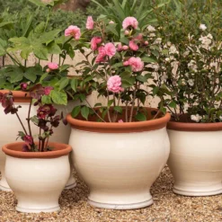 Ivory Bellied Planter -Garden & Outdoors pr2000045026 card8 lg