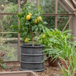 Greystoke Barrel Planter -Garden & Outdoors pr2000046297 card7 lg