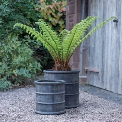 Greystoke Barrel Planter -Garden & Outdoors pr2000046297 card9 lg