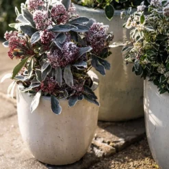 Glazed Ceramic Pot - White -Garden & Outdoors pr2000046300 card5 lg