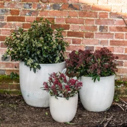 Glazed Ceramic Pot - White -Garden & Outdoors pr2000046300 card7 lg