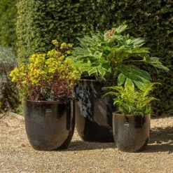 Glazed Ceramic Pot - Misty Black -Garden & Outdoors pr2000046301 card3 lg