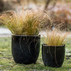 Glazed Ceramic Pot - Misty Black -Garden & Outdoors pr2000046301 card5 lg