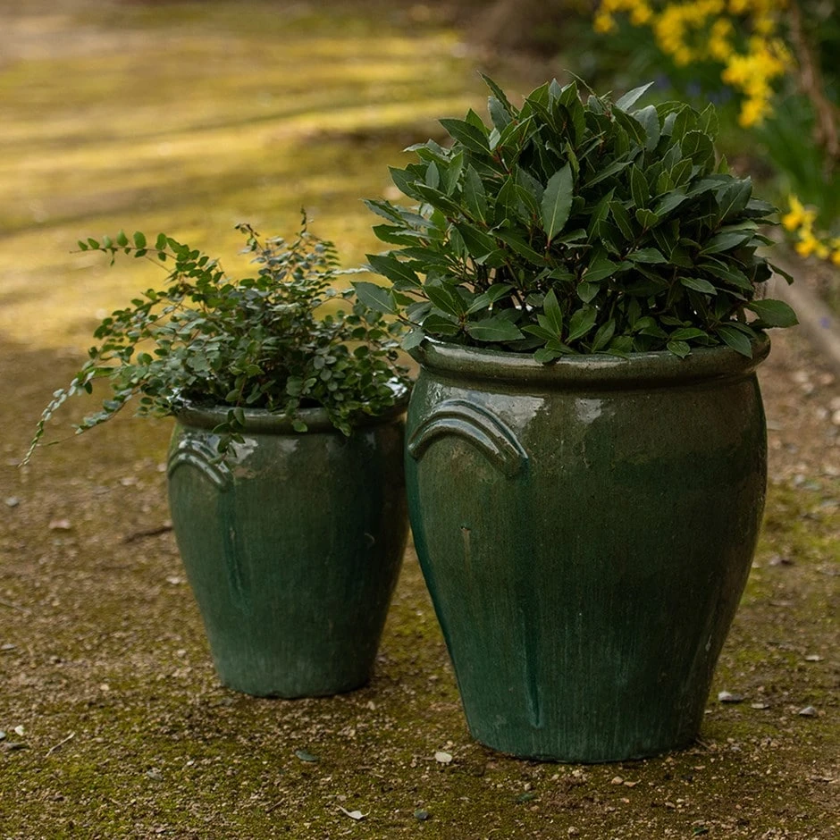Glazed Terracotta Tulip Pot - Misty Green 1 Glazed Terracotta Tulip Pot - Misty Green