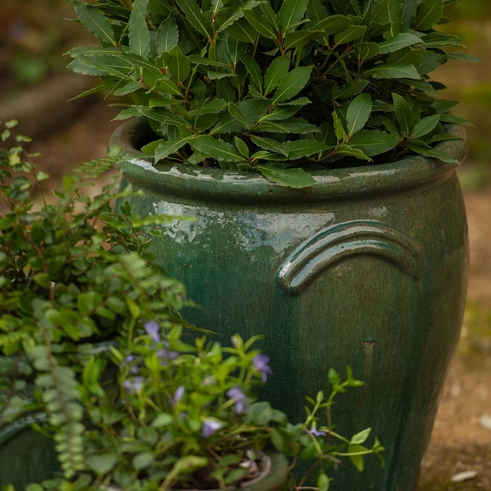 Glazed Terracotta Tulip Pot - Misty Green 2 Glazed Terracotta Tulip Pot - Misty Green - Image 2