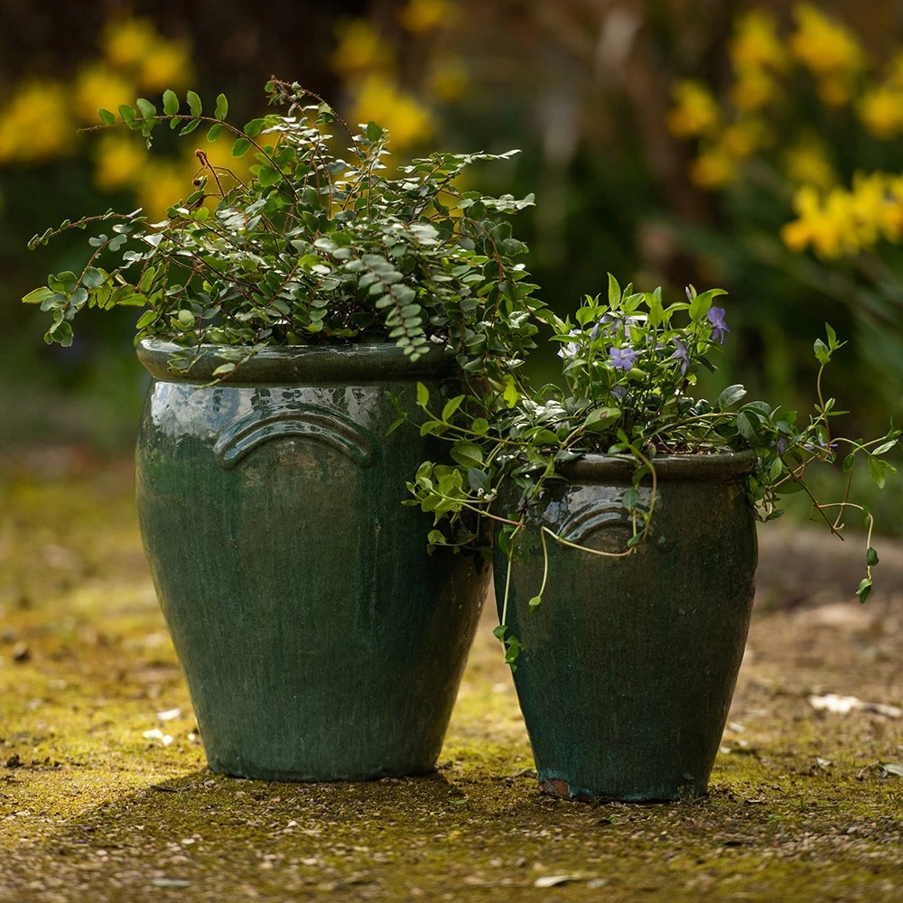 Glazed Terracotta Tulip Pot - Misty Green 4 Glazed Terracotta Tulip Pot - Misty Green - Image 4