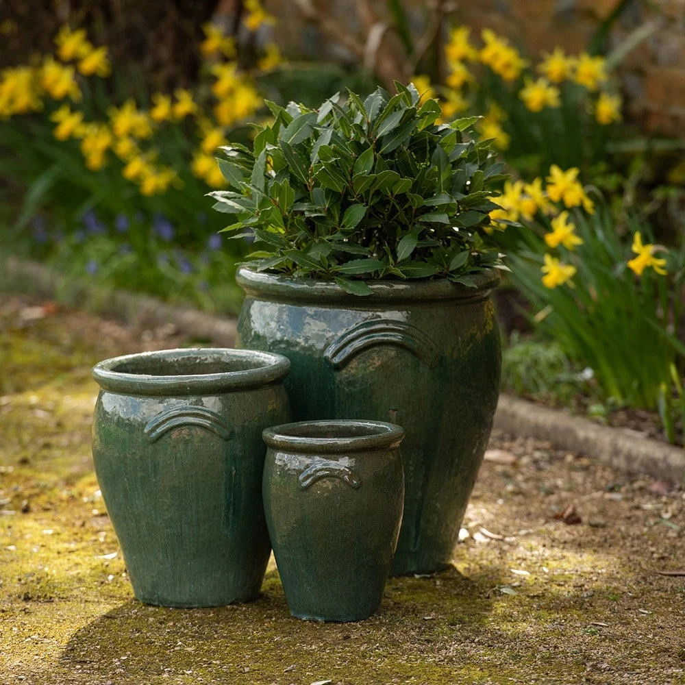 Glazed Terracotta Tulip Pot - Misty Green 6 Glazed Terracotta Tulip Pot - Misty Green - Image 6