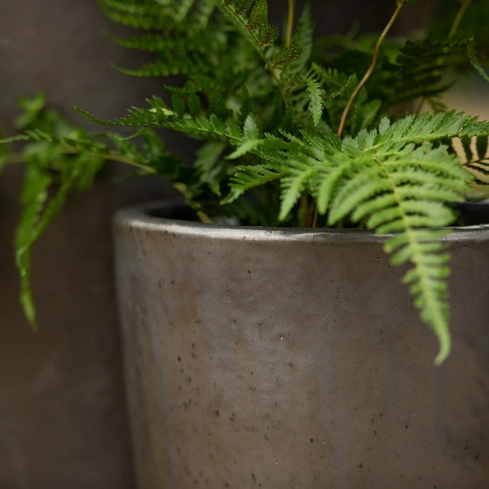 Glazed Terracotta Long Tom Pot - Matt Charcoal 2 Glazed Terracotta Long Tom Pot - Matt Charcoal - Image 2